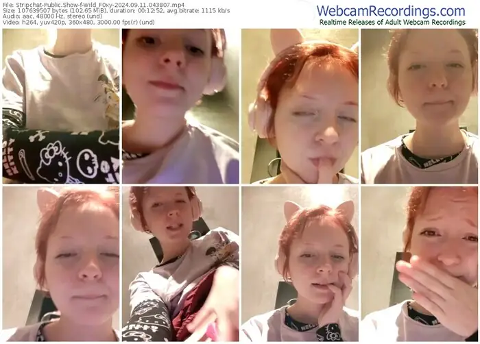 stripchat-wild_f0xy-09-11-2024-04-38-07