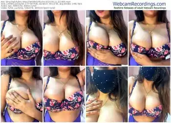 stripchat-wildbitchfucks-09-11-2024-21-18-05