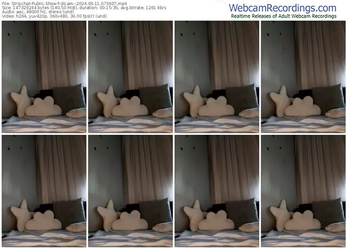 stripchat-dilam--09-11-2024-07-36-07