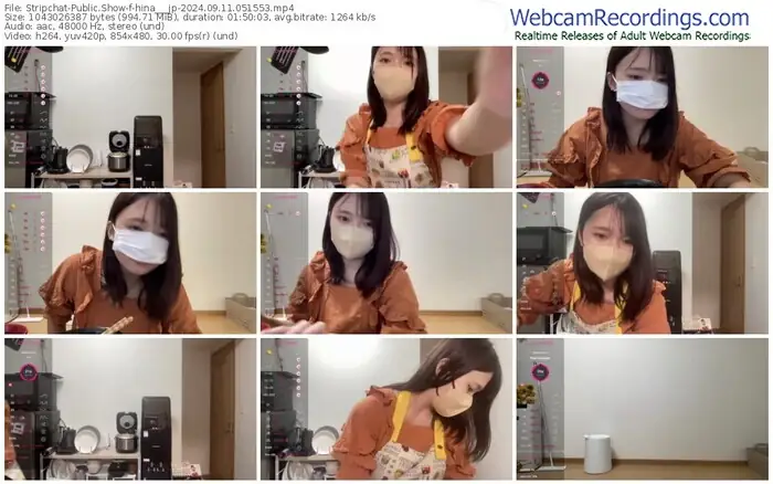 stripchat-hina___jp-09-11-2024-05-15-53