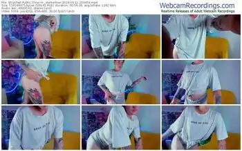 stripchat-_darkwillow-09-11-2024-20-44-58