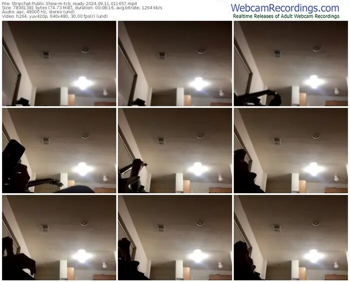 stripchat-tcb_ready-09-11-2024-01-16-57