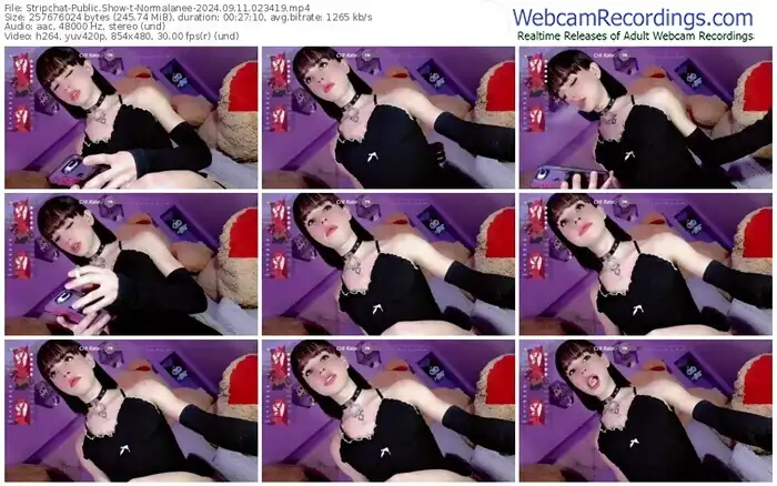 stripchat-normalanee-09-11-2024-02-34-19