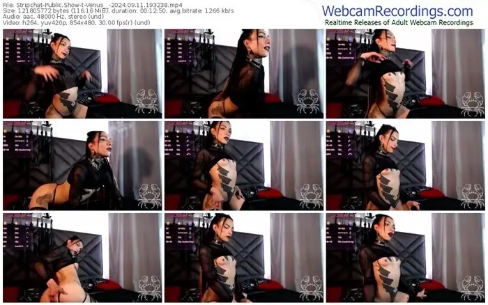 stripchat-venus__-09-11-2024-19-32-38