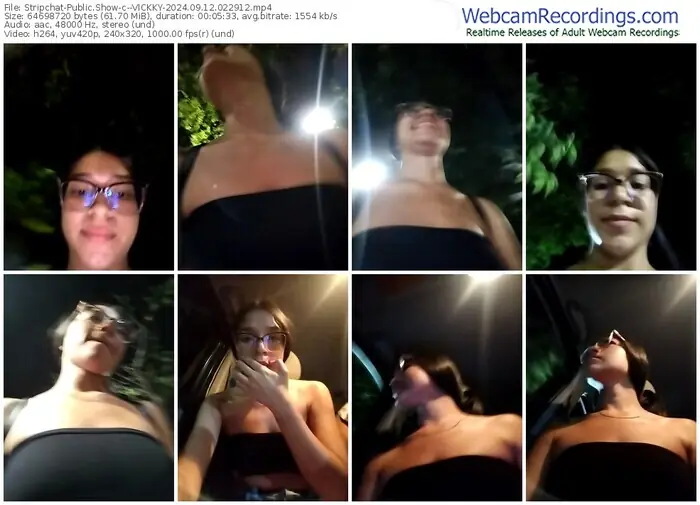 stripchat--vickky-09-12-2024-02-29-12