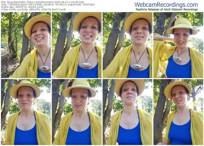 stripchat-exhibitionsplit-09-12-2024-11-41-46