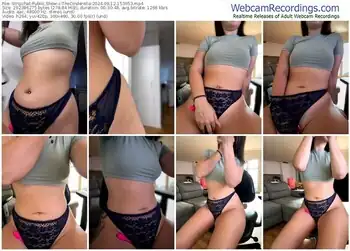 stripchat-thecinderella-09-12-2024-15-36-53