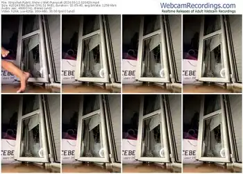 stripchat-wet-pussycat-09-12-2024-02-04-29