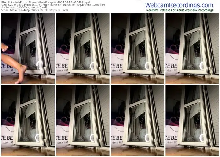 stripchat-wet-pussycat-09-12-2024-02-04-29