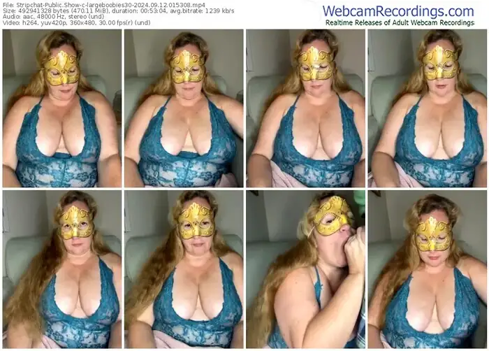 stripchat-largeboobies30-09-12-2024-01-53-08