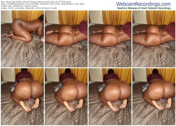 stripchat-nissyxsawee-09-12-2024-07-57-02