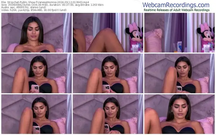 stripchat-vanesamonroe-09-12-2024-01-39-43
