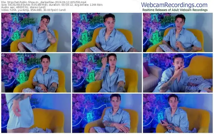 stripchat-_darkwillow-09-12-2024-00-52-58