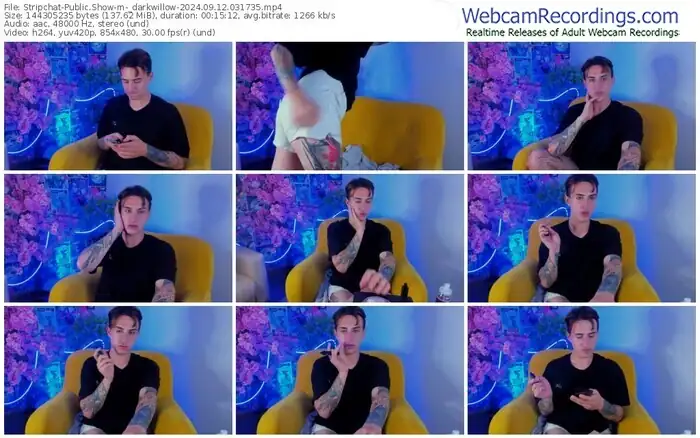 stripchat-_darkwillow-09-12-2024-03-17-35