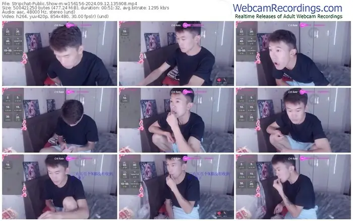 stripchat-w156156-09-12-2024-13-59-08