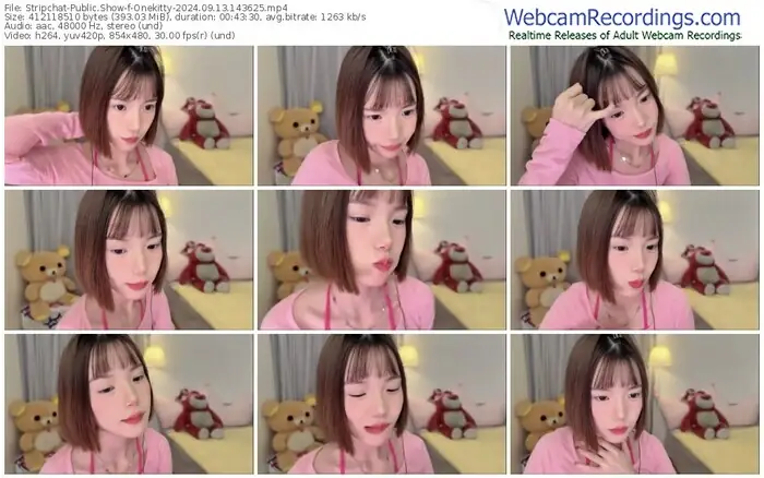 stripchat-onekitty-09-13-2024-14-36-25