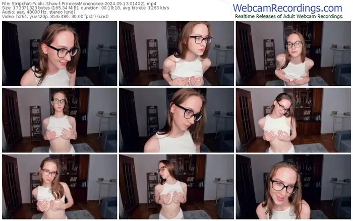 stripchat-princessmononokee-09-13-2024-01-40-21