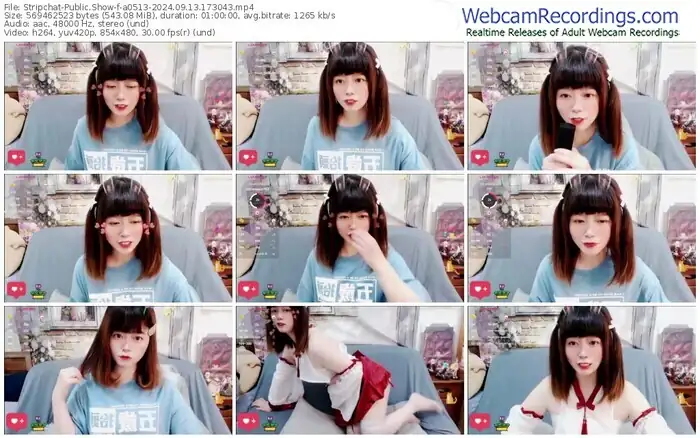stripchat-a0513-09-13-2024-17-30-43