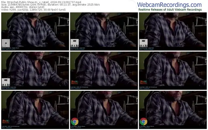 stripchat-_x_rated_-09-13-2024-09-17-37