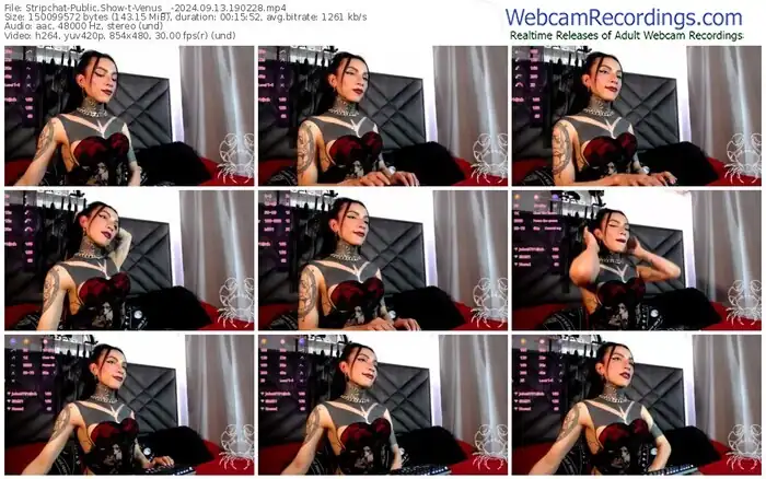 stripchat-venus__-09-13-2024-19-02-28