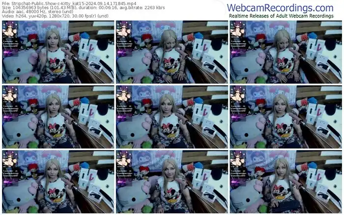 stripchat-kitty_kat15-09-14-2024-17-18-45
