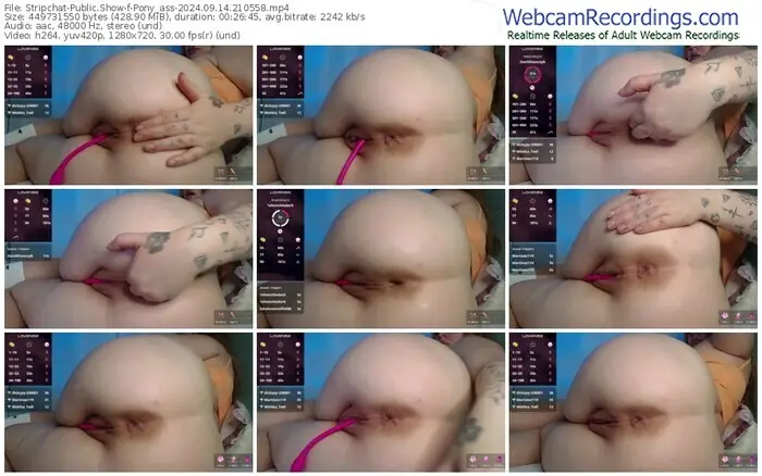 stripchat-pony_ass-09-14-2024-21-05-58