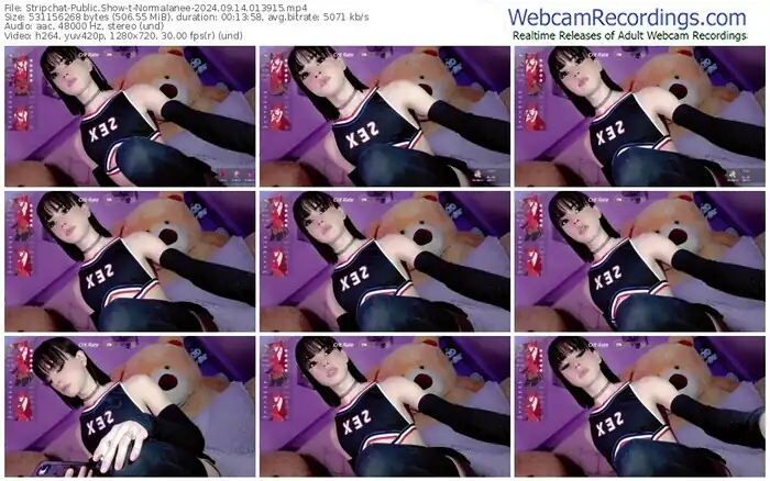 stripchat-normalanee-09-14-2024-01-39-15