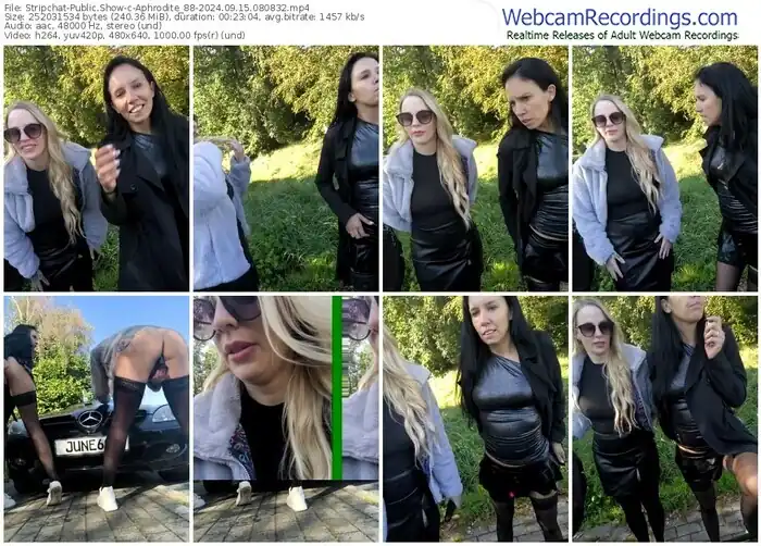 stripchat-aphrodite_88-09-15-2024-08-08-32