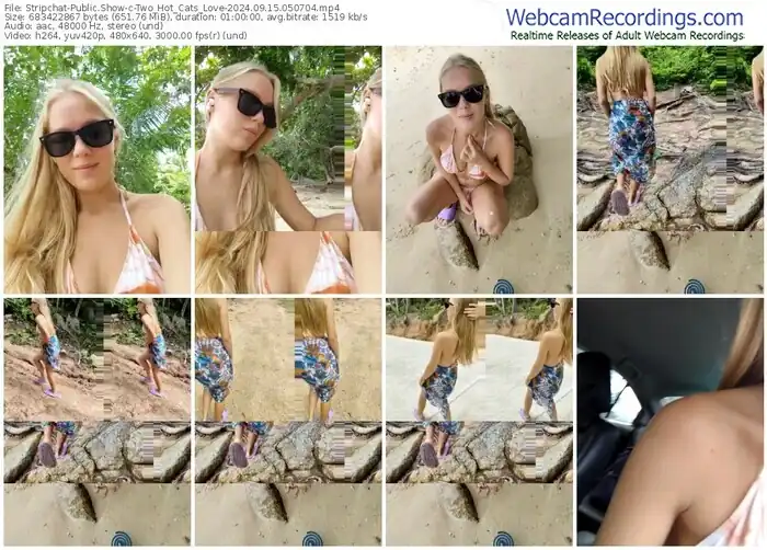 stripchat-two_hot_cats_love-09-15-2024-05-07-04