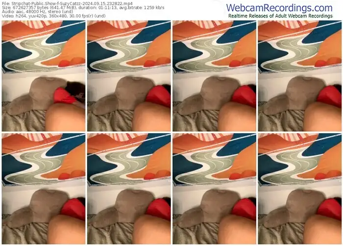 stripchat-suzycatzz-09-15-2024-23-28-22