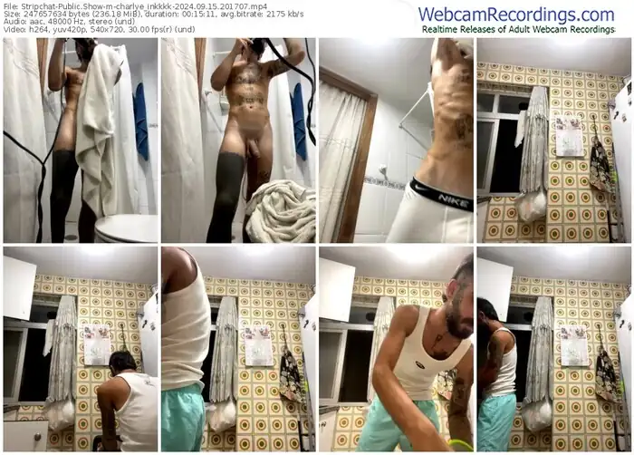 stripchat-charlye_inkkkk-09-15-2024-20-17-07