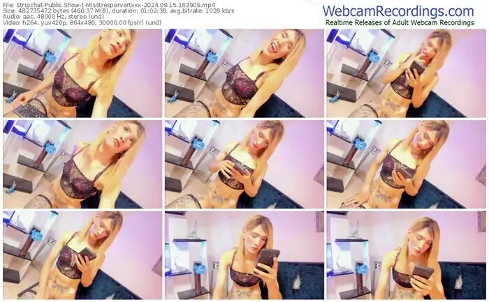 stripchat-misstrespervertxxx-09-15-2024-16-39-09