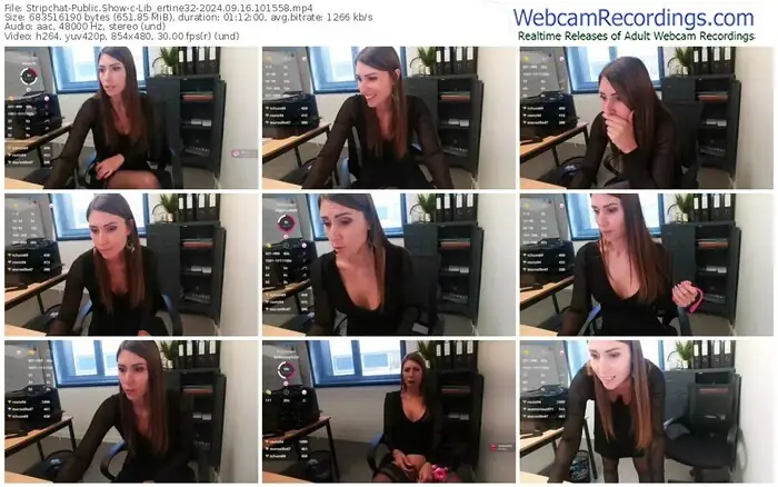 stripchat-lib_ertine32-09-16-2024-10-15-58