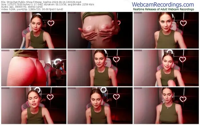 stripchat-meow_sophie-09-16-2024-16-33-29