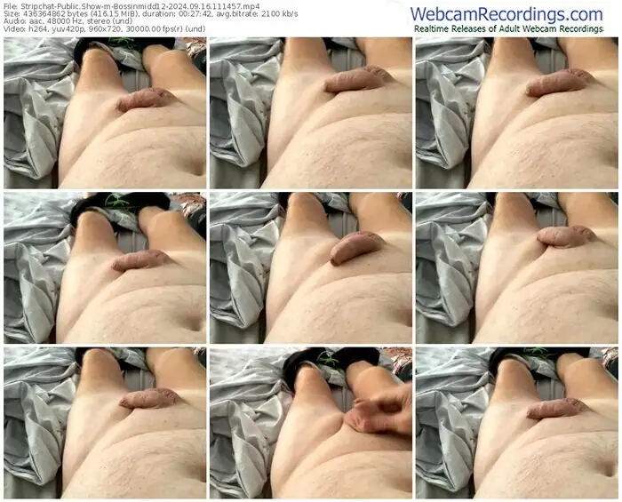 stripchat-bossinmidd12-09-16-2024-11-14-57
