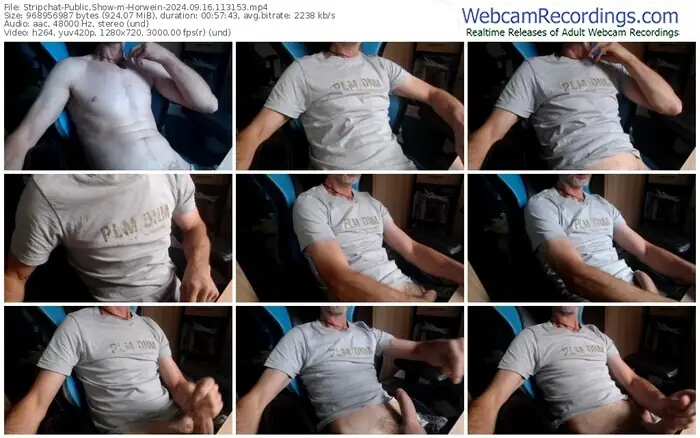 stripchat-horwein-09-16-2024-11-31-53