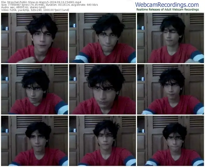 stripchat-wazzy5-09-16-2024-15-49-01