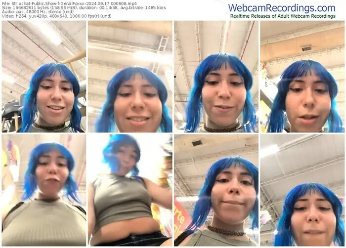 stripchat-gerallfoxxx-09-17-2024-00-09-08