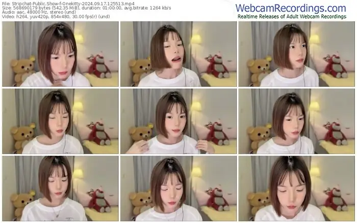 stripchat-onekitty-09-17-2024-12-55-13