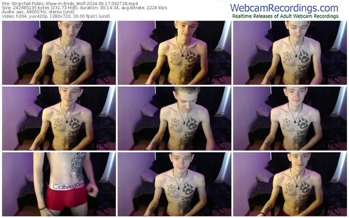 stripchat-endo_wolf-09-17-2024-09-27-28