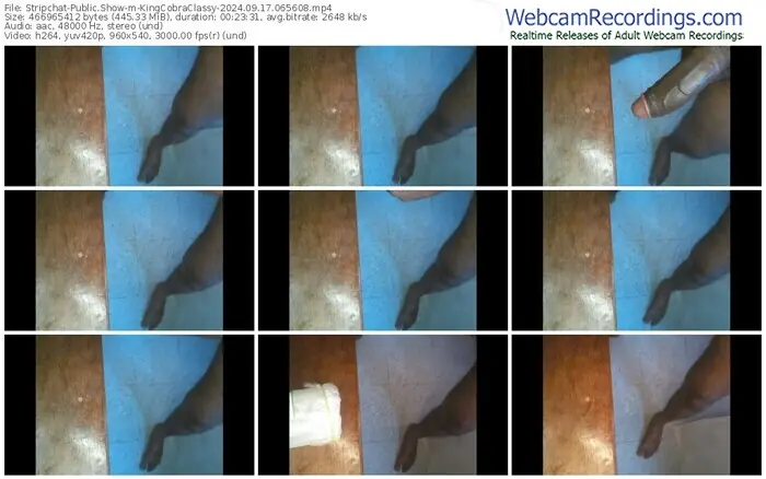 stripchat-kingcobraclassy-09-17-2024-06-56-08