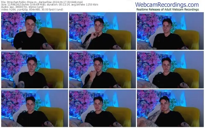 stripchat-_darkwillow-09-17-2024-01-04-48