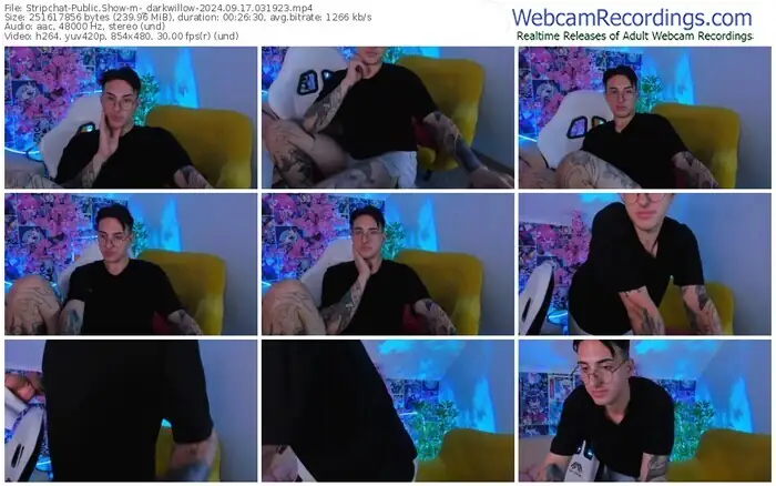 stripchat-_darkwillow-09-17-2024-03-19-23