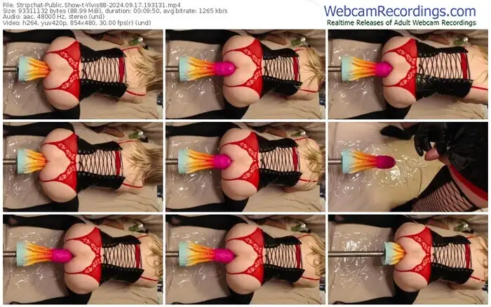 stripchat-ylvis88-09-17-2024-19-31-31