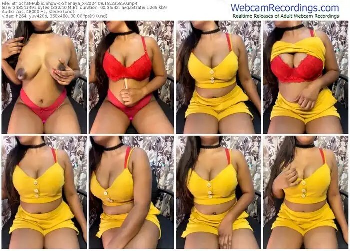 stripchat-shenaya_x-09-18-2024-23-58-50