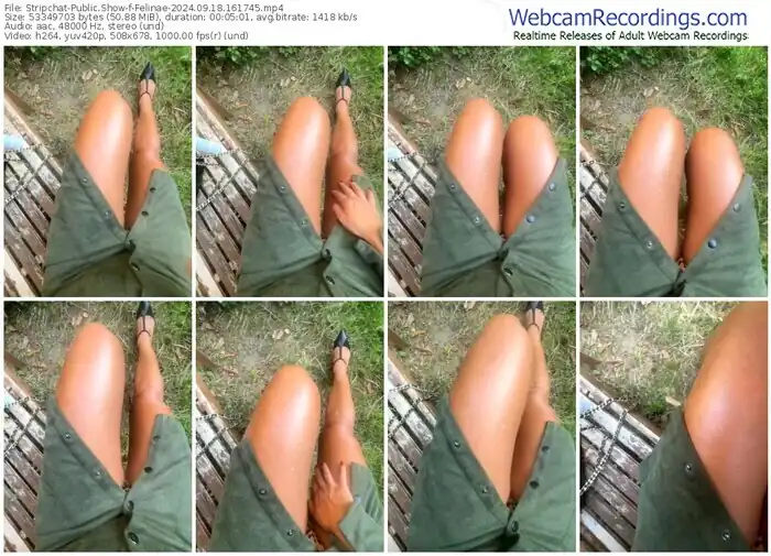 stripchat-felinae-09-18-2024-16-17-45