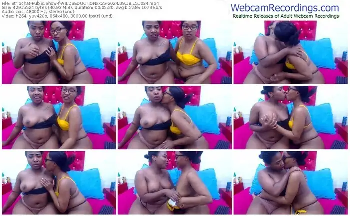 stripchat-wildseductionxx25-09-18-2024-15-10-34