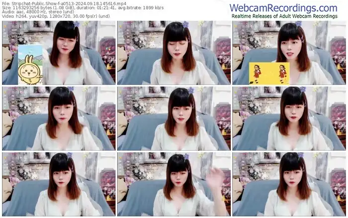 stripchat-a0513-09-18-2024-14-56-16