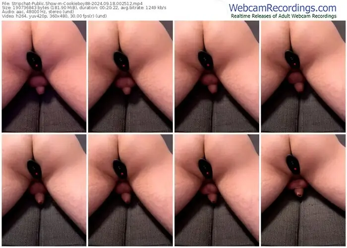 stripchat-cookieboy88-09-18-2024-00-25-12