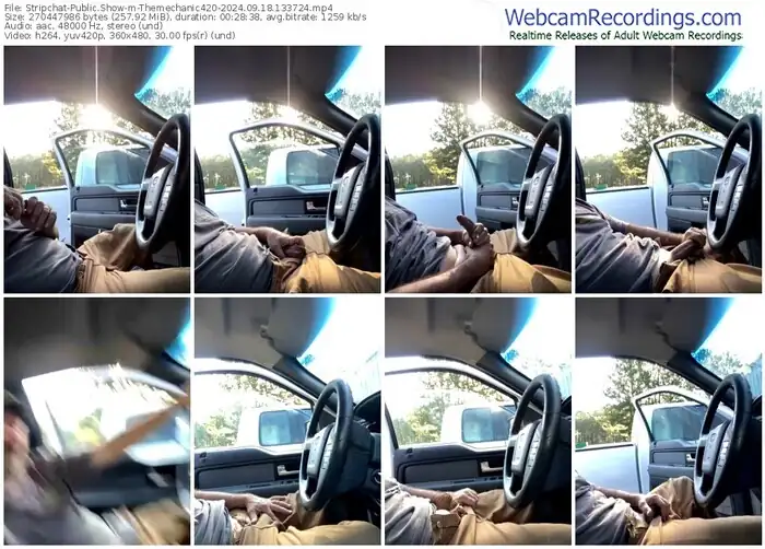 stripchat-themechanic420-09-18-2024-13-37-24